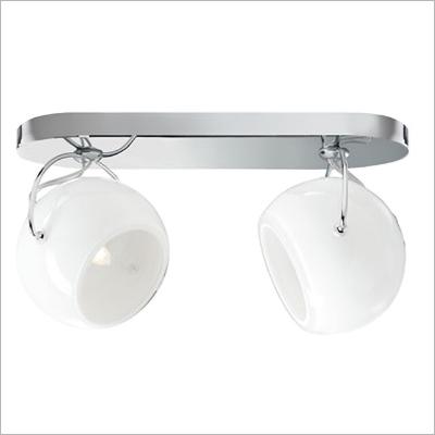 Beluga White Beluga White