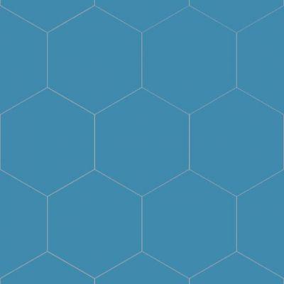 Hexagon Shape Hexagon Shape