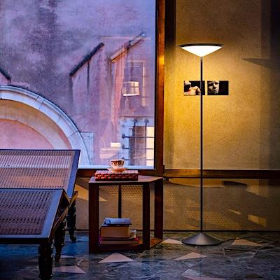 Narciso (PL) Narciso (PL)