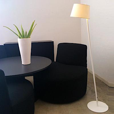 Excéntrica Excéntrica