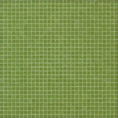 Vetricolor Vetricolor