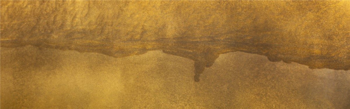 Arte Veneziana Giovanni Luca Ferreri