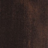 Dark Oak