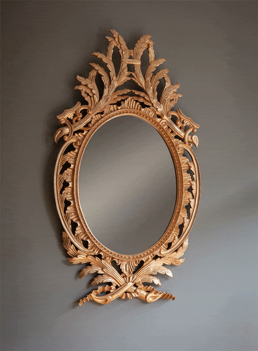 Olympus mirror