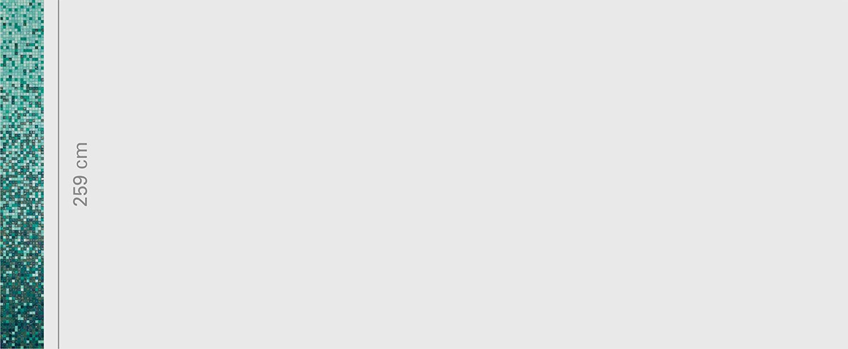 Begonia Whiteless Size