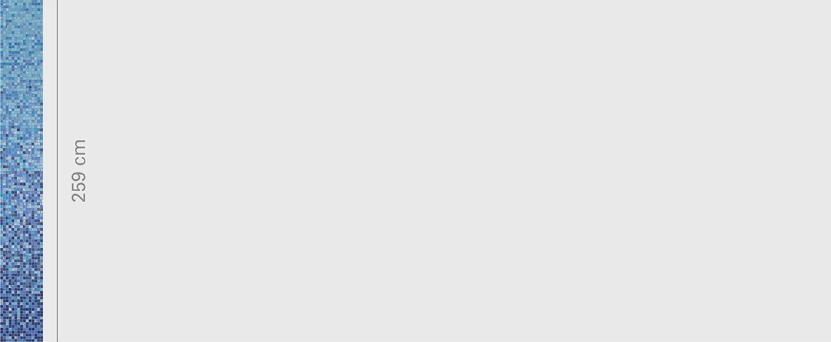 Gerbera Whiteless Size