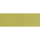 Satined brass<br loading="lazy" ></picture>
0V0795.D00.22