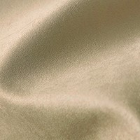 Ascari - Cameo (Standard - CC)