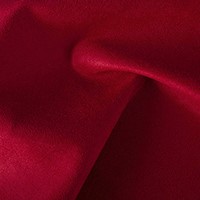 Ascari - Garnet (Standard - CC)