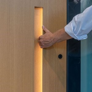 Griffmodul INTEGRAL-M in Furnierausführung mit Beleuchtung