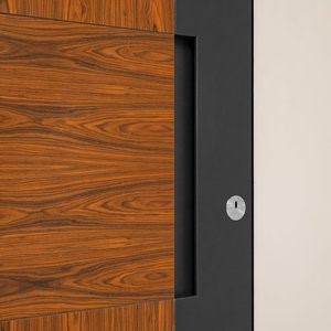 Griffmodul INTEGRAL-S in CT-LOTUS Stahleffekt Schwarz