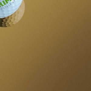 Edelstahl PVD Gold (E1)