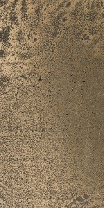 Raptor Liquid Metal Bronze