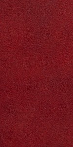 Savana 1006 - Cat. B