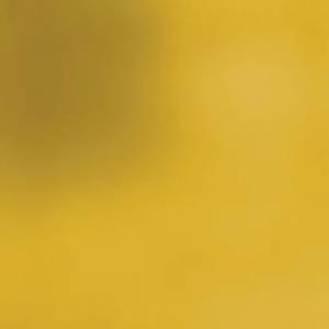 Personal universe-Tondo