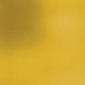 Personal universe-Tondo T