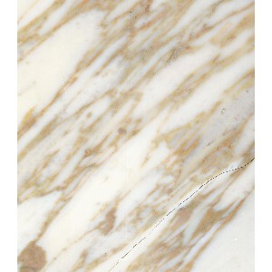 Calacatta Oro