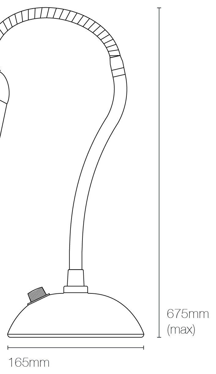 Dimensions Alma Table Light