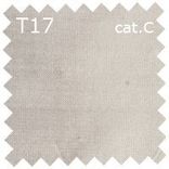 T17 cat.C