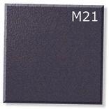 M21