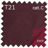 T21 cat. C