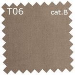 T06 cat.B