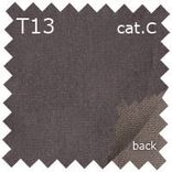 T13 cat.C
