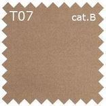T07 cat.B