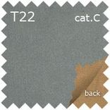 T22 cat.C