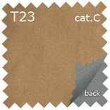 T23 cat.C