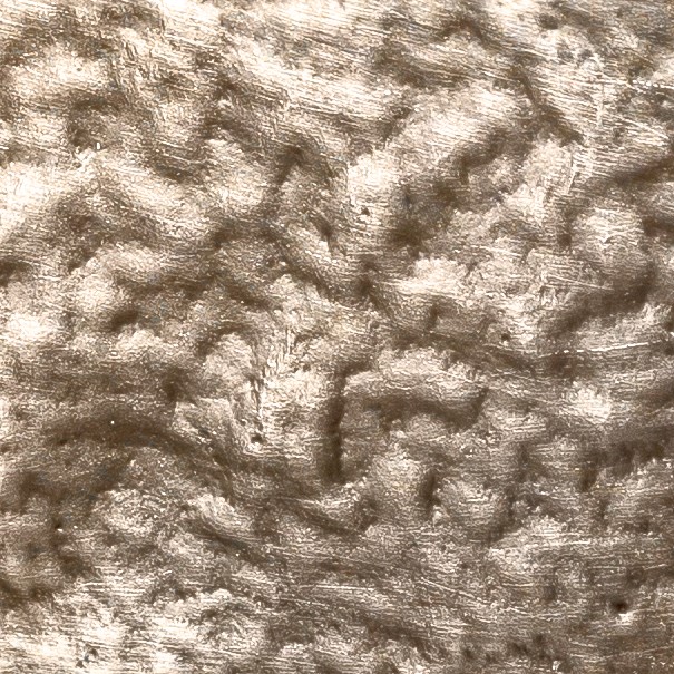 Tactile brushed Champagne