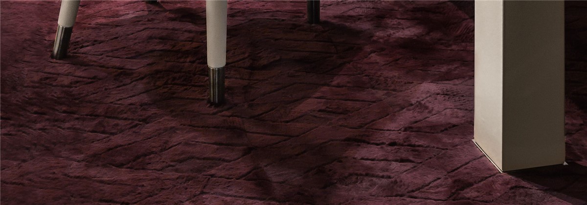 Complements Shave TPSHAVE01 - TPSHAVE02 - TPSHAVE03