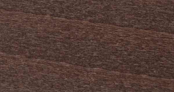 Mahogany beech 09