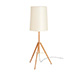 Carpyen Floor Lamps