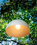 Outdoor Pendant Lights