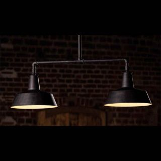 Robers / 2-lighter Suspension Lamp / HL 2624