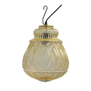 Karman / Outdoor Pendant Lighting / Ginger 30 SE116 6A/6F EXT