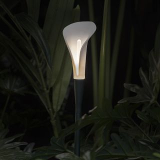 Contardi / Outdoor LED Lights / Bloom Tiny & Long