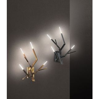 IDL 1987 / Wall Sconces / Acropora