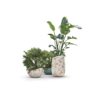 Longhi / Outdoor Flower Boxes / Artemisia S 702