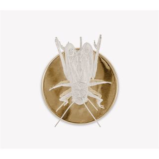 Boca do Lobo / Wall Lights / Filigree Cricket
