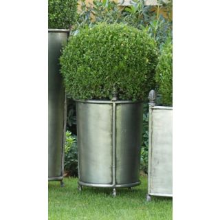 Officina Ciani / Outdoor Flower Boxes / Small Size Iron GF4014-S Pigne