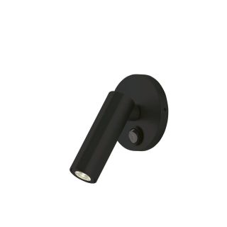 Carpyen / Wall & Ceiling / Jerry