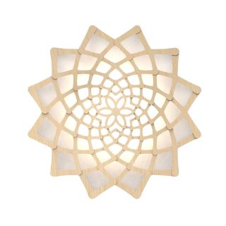 David Trubridge / Wall Lights / Sunflower