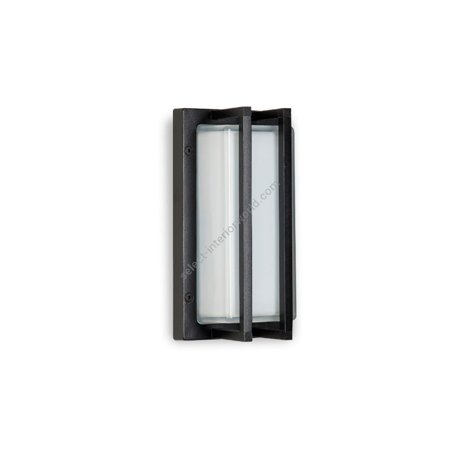 Outdoor rectangular wall lamp / Black finish