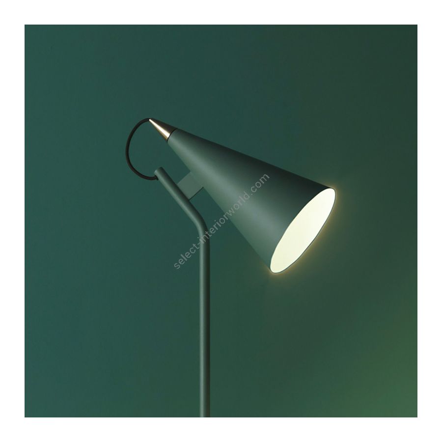 Floor lamp / Jungle green color outside