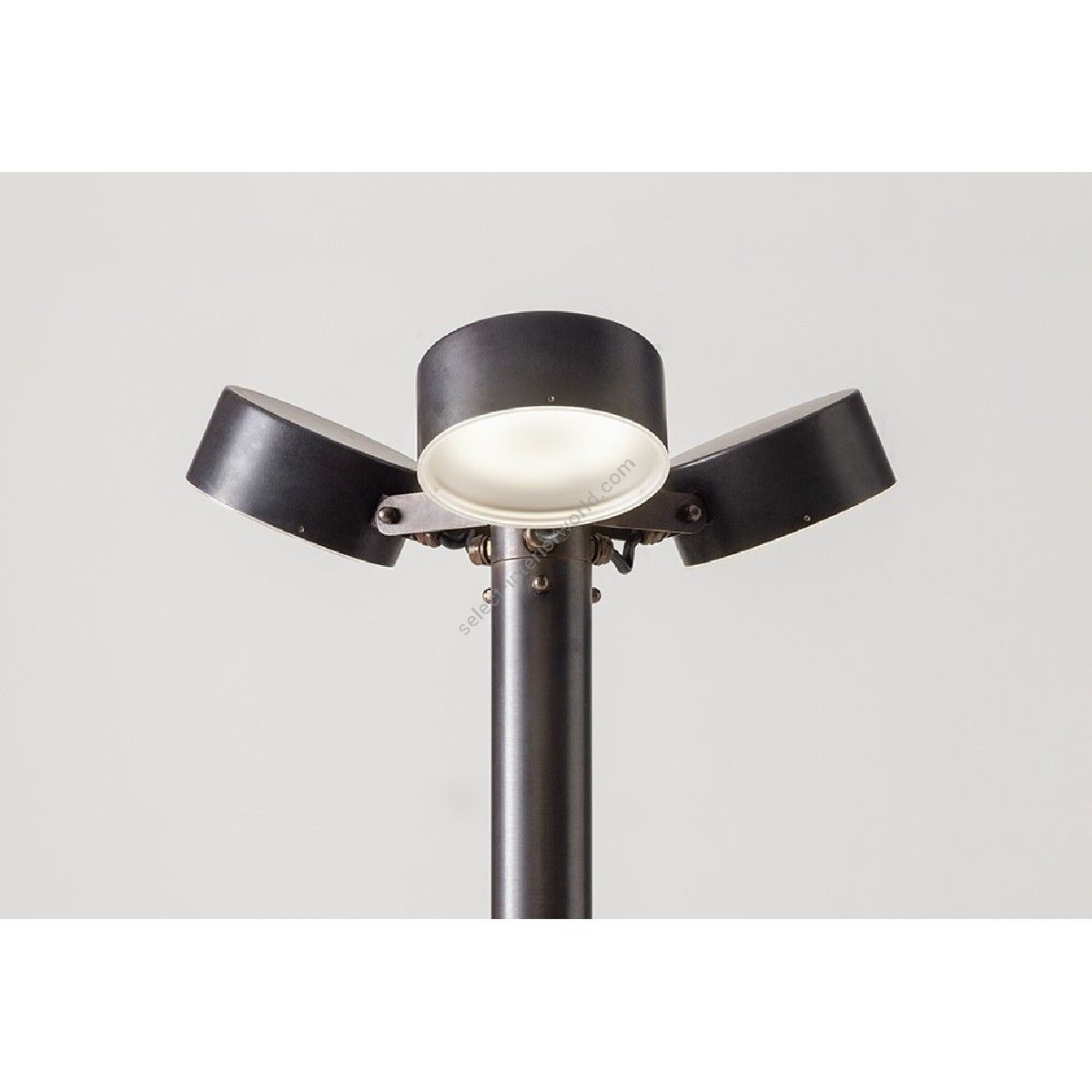 Aldo Bernardi / Pole-head / Acelum