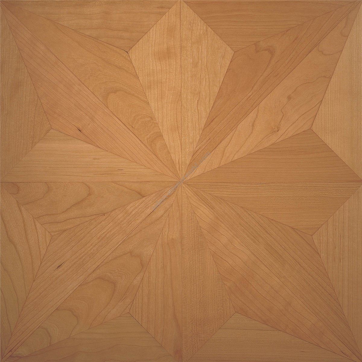 Berti / Square Space Marquetry / Pattern floor Zanetti