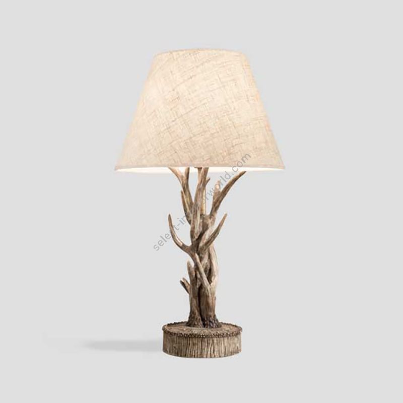 Dialma Brown / Table Lamp / DB005255