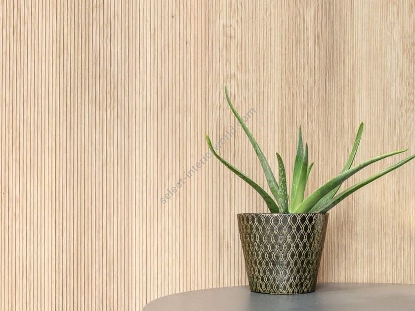 Bassano Parquet / Solid wood 3D Wall Panel / Wallwood Wave P